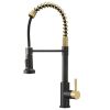 New Single Handle Pull-Down Sprayer Kitchen Faucet