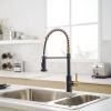 New Single Handle Pull-Down Sprayer Kitchen Faucet