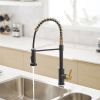 New Single Handle Pull-Down Sprayer Kitchen Faucet