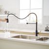 New Single Handle Pull-Down Sprayer Kitchen Faucet