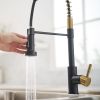 New Single Handle Pull-Down Sprayer Kitchen Faucet