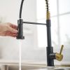 New Single Handle Pull-Down Sprayer Kitchen Faucet