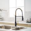 New Single Handle Pull-Down Sprayer Kitchen Faucet